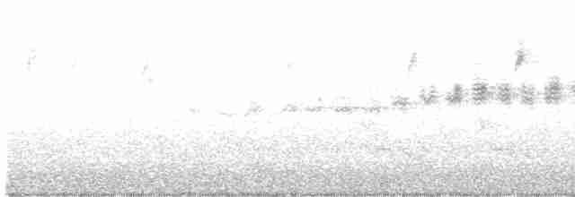 Prairie Warbler - ML332198891