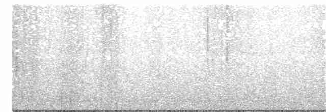 ネズミメジロハエトリ - ML332303601