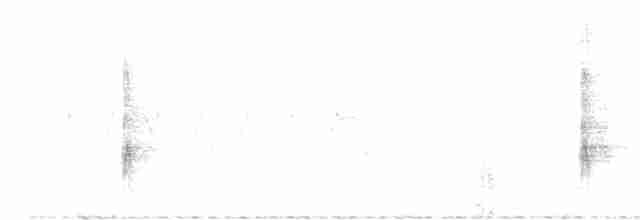 strakapoud balúčistánský - ML332367261