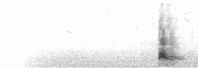 Yellow-crowned Night Heron - ML332434621