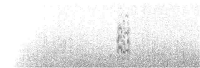 Kara Gagalı Sumru - ML33245141