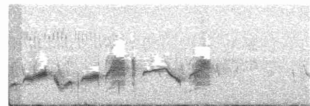 Western Orphean Warbler - ML332468021