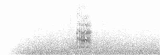 Kara Gagalı Sumru - ML33248471