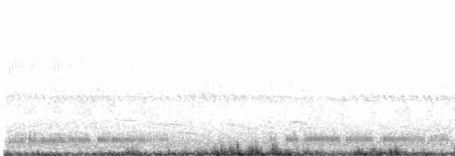 Great Egret (modesta) - ML332694131