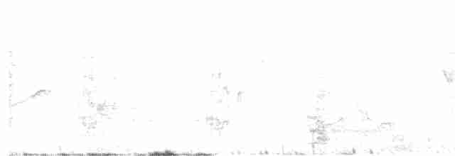 マミジロモリツバメ - ML332747921