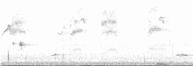 Psophode à menton noir - ML332749711