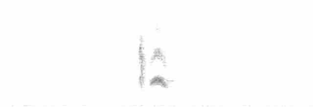 Серогрудый тиранн - ML332831901