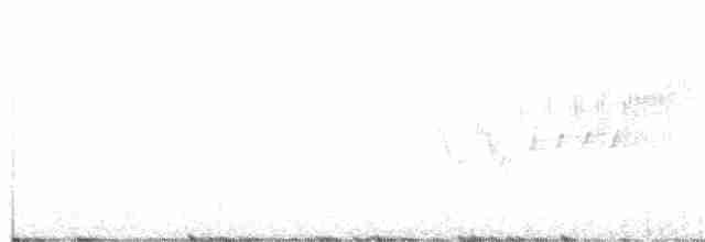 lesňáček modropláštíkový - ML333031951
