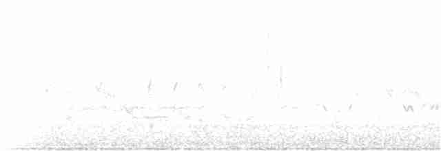 Paruline à couronne rousse (palmarum) - ML333185011