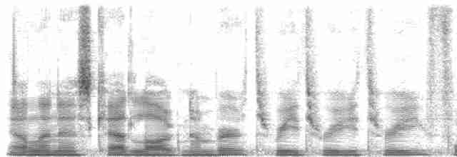 キガシラモリチメドリ Ebird