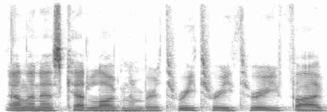 キガシラモリチメドリ Ebird