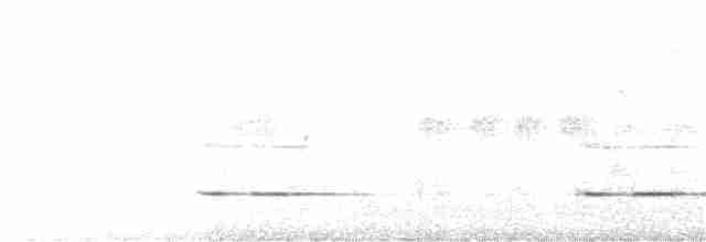 Kestane Kanatlı Tepeli Guguk - ML333574281