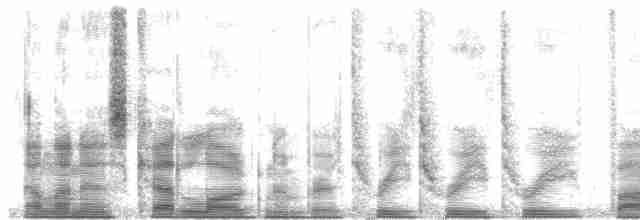 キガシラモリチメドリ Ebird