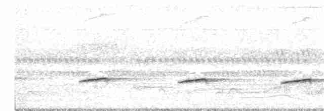 Кустарниковая кукушка (sepulcralis/everetti) - ML333591661