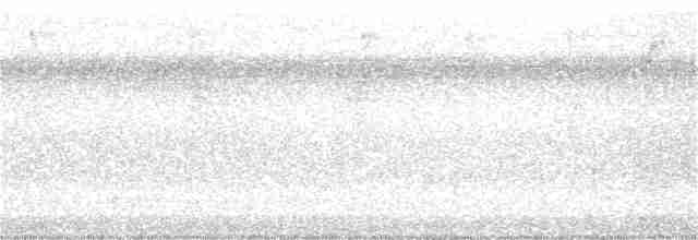 Chocó-Strichelameisenschlüpfer - ML333596001