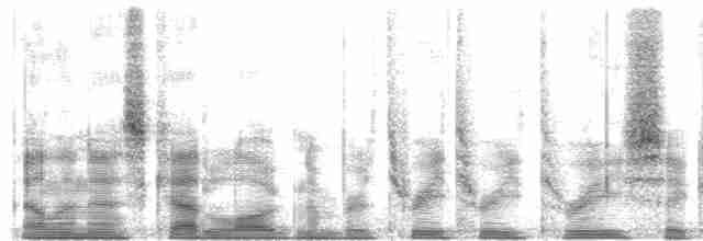 キガシラモリチメドリ Ebird