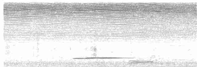 Thicket Tinamou - ML333667611
