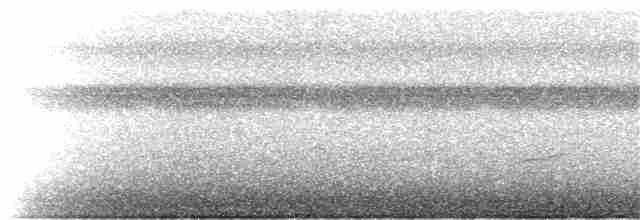 Дрізд-короткодзьоб Cвенсона - ML333683711
