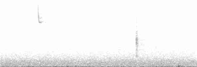 Малая воробьиная овсянка - ML333700241