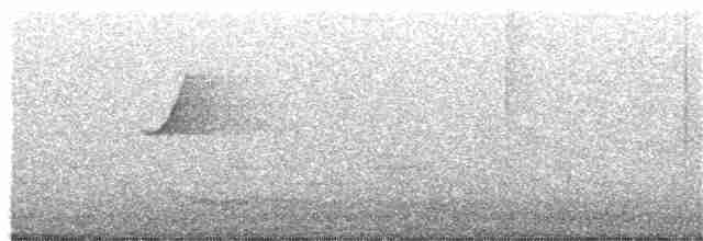 holub běloprsý - ML333717911