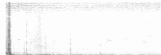 Cossyphe à gorge blanche - ML333726981