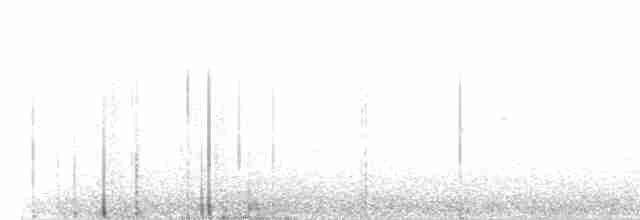 Hermit Warbler - ML333736211
