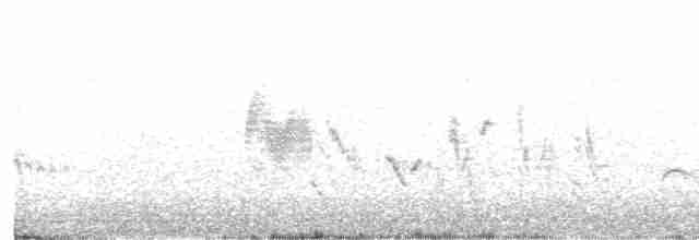 Northern Wheatear (Eurasian) - ML333762171