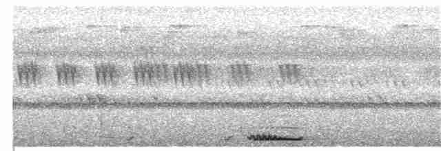 Сплюшка східноазійська (підвид modestus) - ML333773221