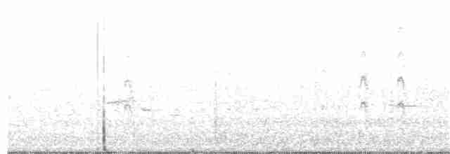 Common Tern - ML333939851