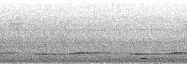 Long-billed Partridge - ML33398