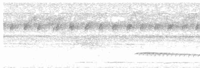 Tüpfelkronen-Ameisenvogel - ML333996621