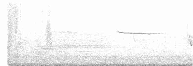 Каролинский крапивник - ML334001921
