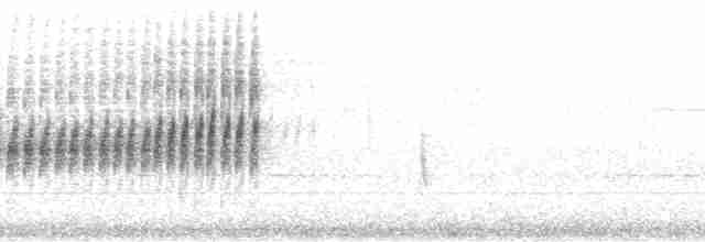Gray-throated Babbler - ML33412