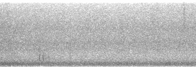 Turuncu Göğüslü Trogon - ML33427