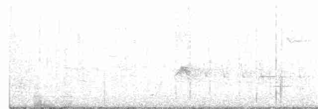 Evening Grosbeak (type 3) - ML334336381