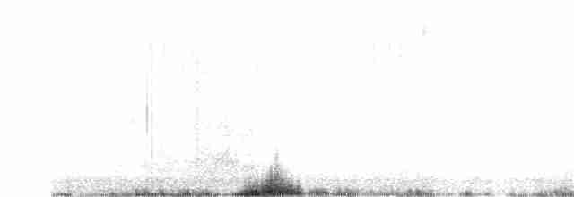 Arika Çölyıldızı - ML334425601