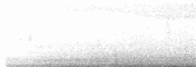 Дрізд-короткодзьоб плямистоволий - ML334438671