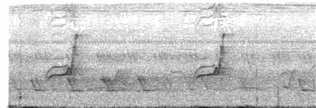 Bulbul Verdoso (cinnamomeoventris) - ML334494631
