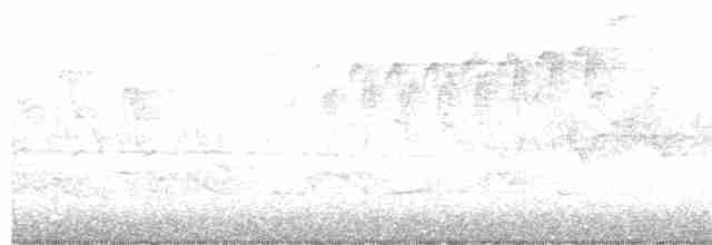Cerulean Warbler - ML334510351