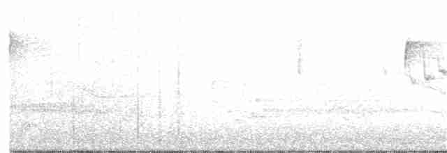 Orange-crowned Warbler - ML334596731