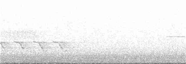 Чернокрылая пиранга - ML334600561