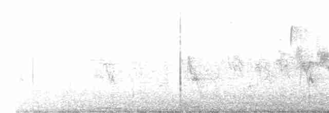 Cerulean Warbler - ML334681531