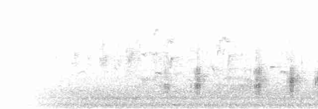 Great Reed Warbler - ML334932201