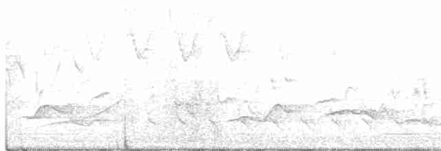Cerulean Warbler - ML334968901