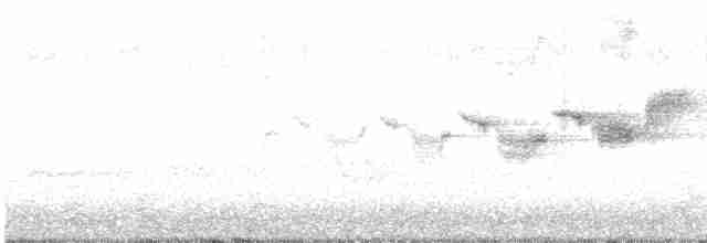 Black-throated Gray Warbler - ML334979921
