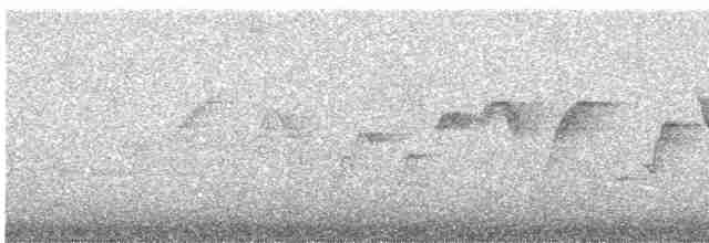 Тиран-крихітка чорноголовий - ML335028521