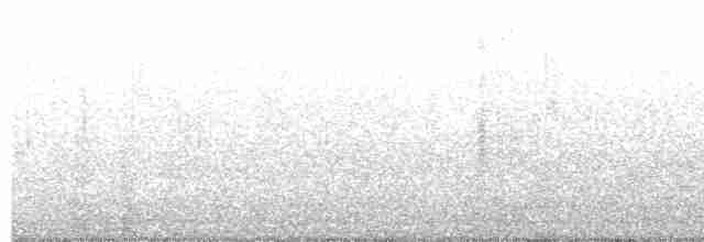 Common Redshank - ML335253741