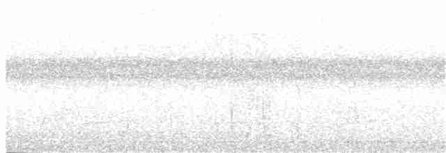 holub vínokrký - ML335297071