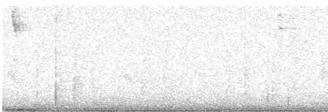 svartkroneløvtyrann - ML335306401