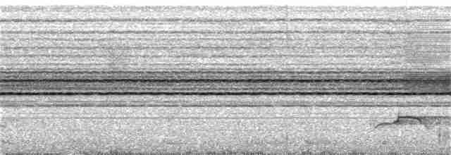 Haubenschlangenadler [cheela-Gruppe] - ML335316711